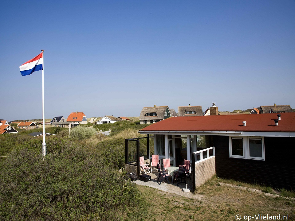 Lastminute Zeekraal