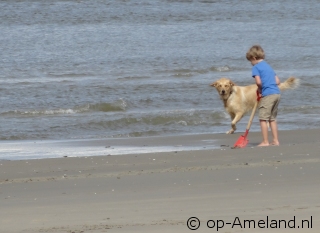 Hond mee naar huisje aan zee