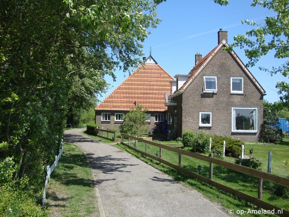 Hollumer Trap, Hond mee naar huisje aan zee