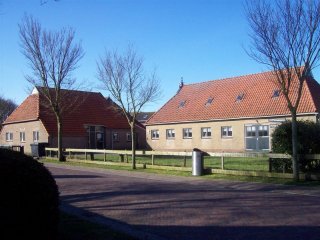 Esdoorn (Midsland Noord).  
