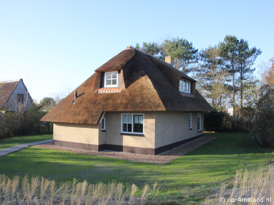 Zeekraal.  