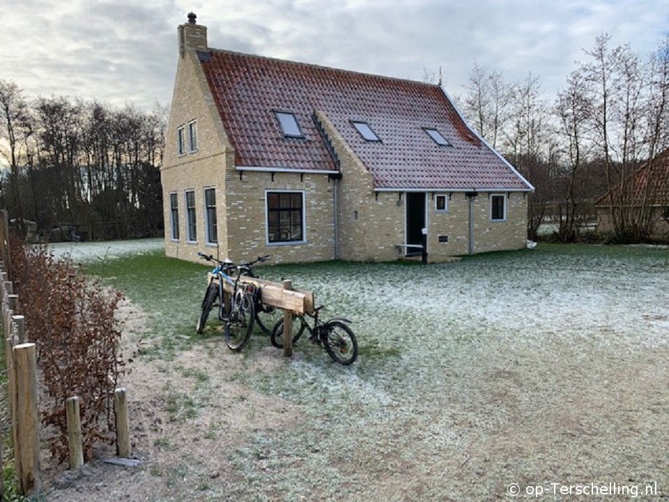 Zeedraeck.  