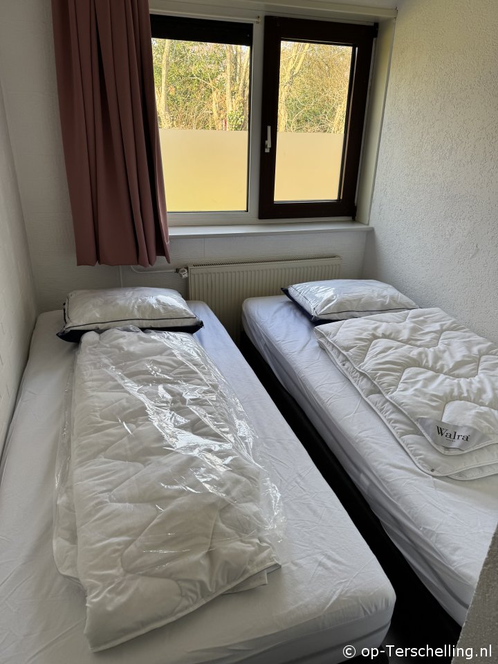 Kamperfoelie