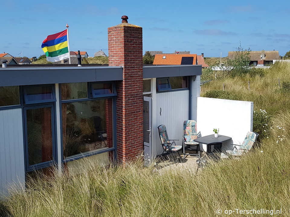 De Zeekoet